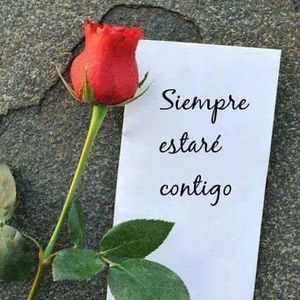 Meet your Posher, Jeronimo